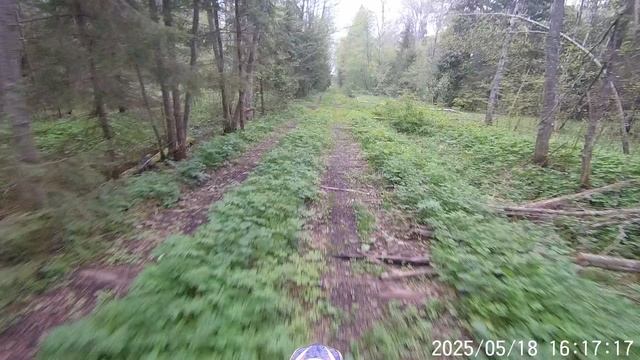 Мотопрохват из поселка Мончалово по старой железнодорожной ветке. Часть 2