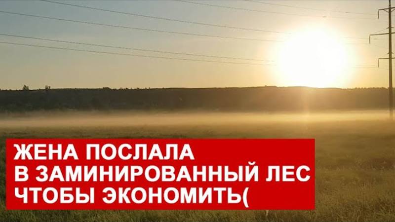 Обзоры СК- ЖЕНА ПОСЛАЛА В ЗАМИNИРОВАННЫЙ ЛЕС. ДРОВ МАЛО. ЖУКИ БРОНЗОВИКИ