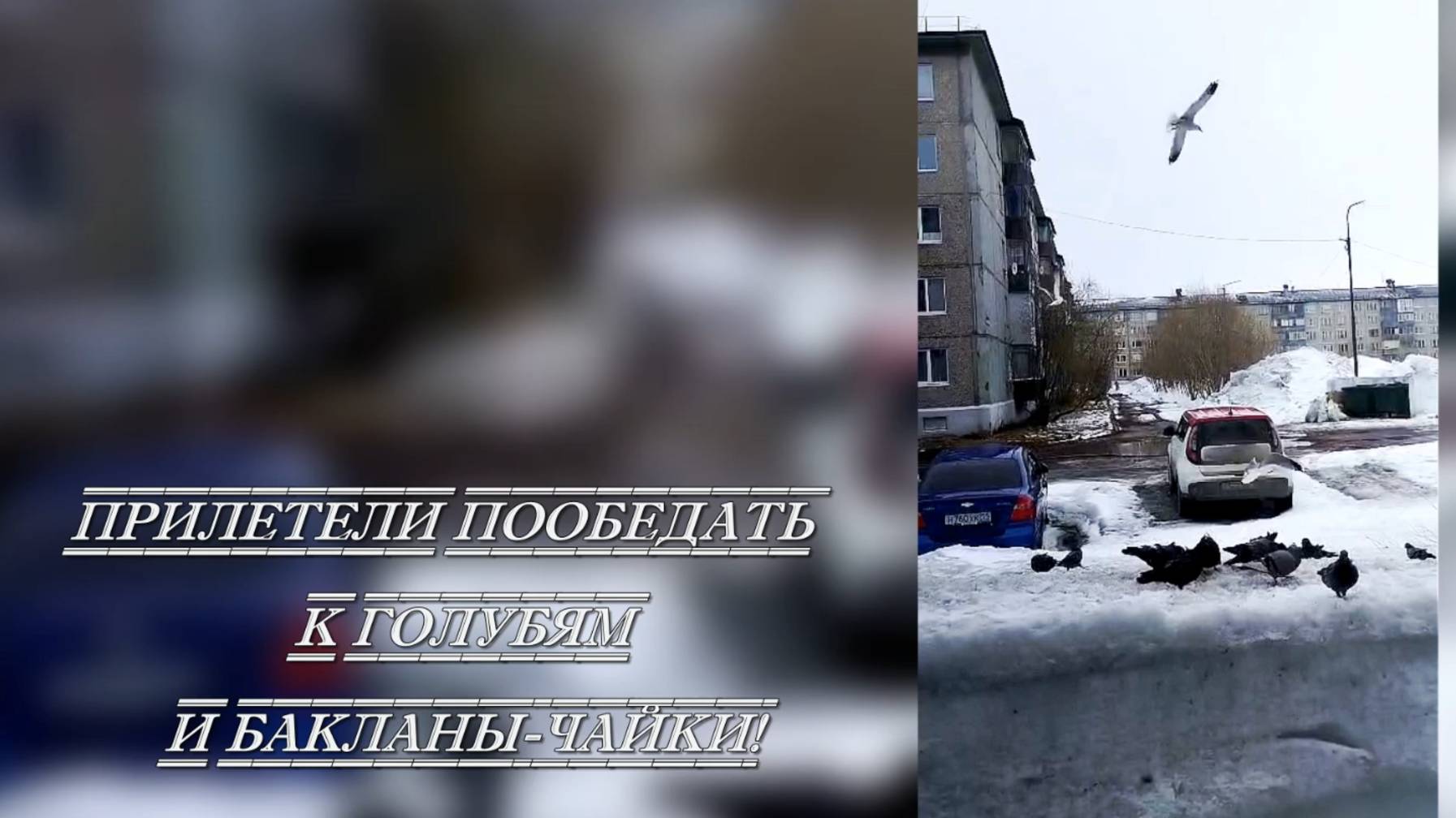 Воркута весенняя  г.Воркута монтаж Лилии Кирьяновой.