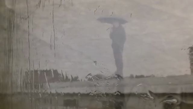 Поезд под названием жизнь