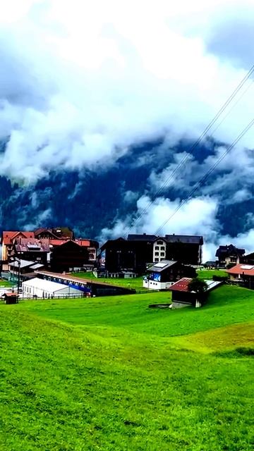 Камера поймала удачный момент