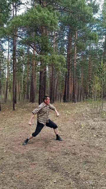 Кунг-фу 5 shorts