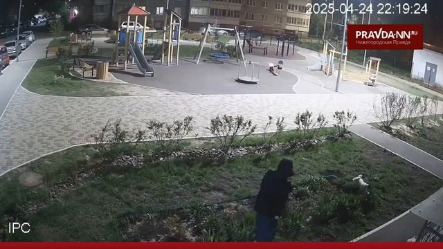 Жители "ЖК_Заречье" жалуются на бабулю и ещё одну женщину которые воруют цветы
