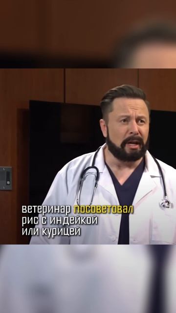 Как мы вылечили аллергию у собаки