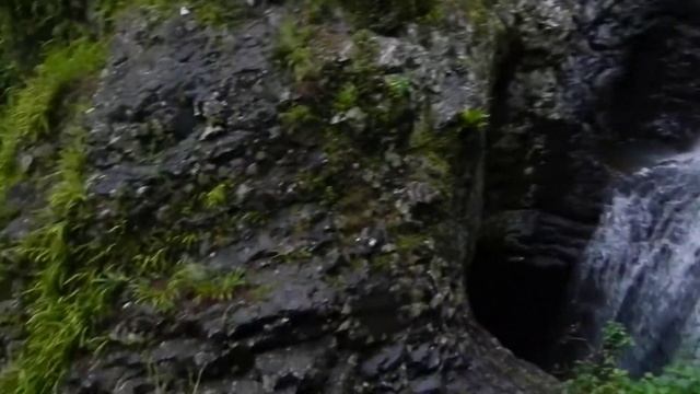 Это было прошлым летом, в середине января