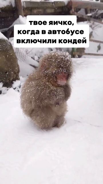 Бррр🥶