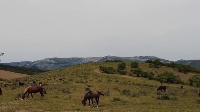 От Алушты до Судака / ВСЕ КУРОРТЫ
