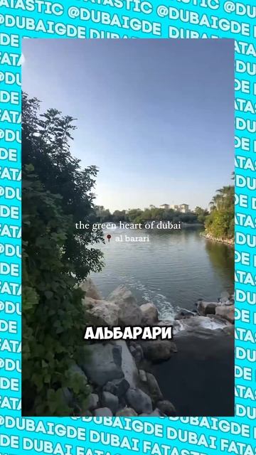 Это Россия или Европа? Нет, это Дубай #shorts