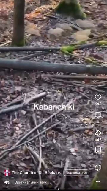 Кабанчики