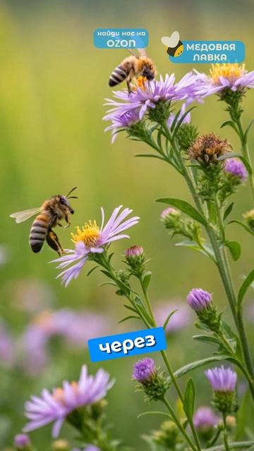 Ульевой интеллект?!🍯🐝#пчелы #факты #здоровье #мёд #пчеловодство #топ #еда #рек #интересно