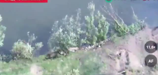 Российские операторы FPV-дронов уничтожают украинского военнослужащего, отдыхающего на берегу вод...