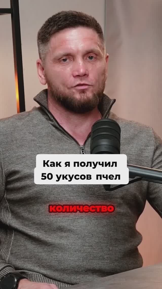 Как я получил 50 укусов пчел