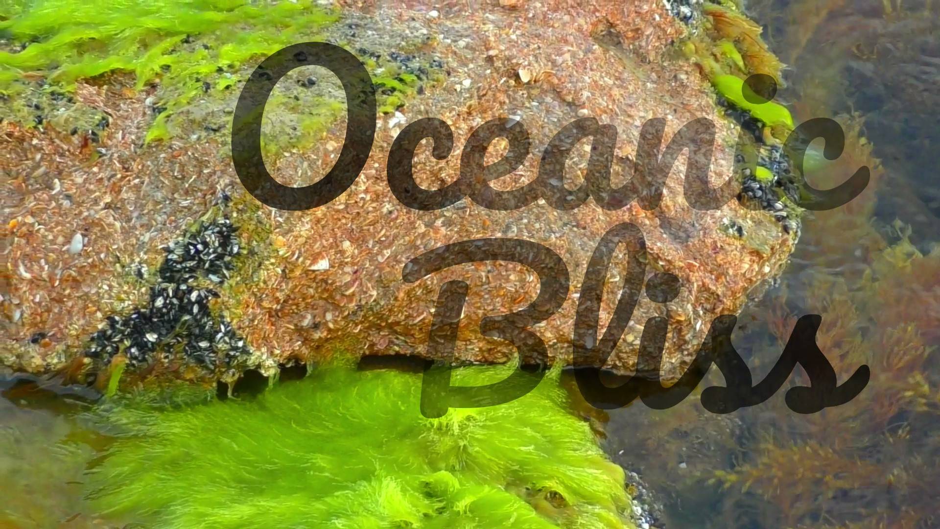 Oceanic Bliss