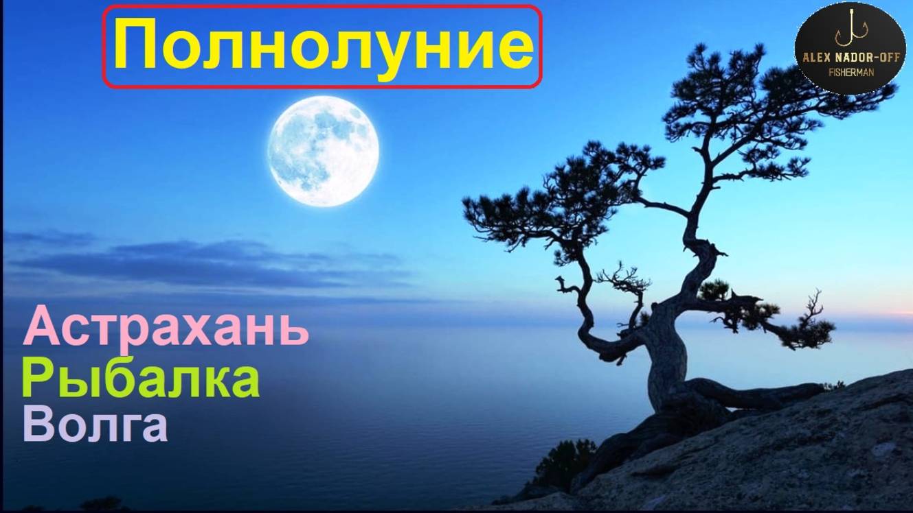 🔥Супер-ЛУНИЕ на ВОЛГЕ в формате 4К🔥 видны все кратеры... Астрахань-Весна-2025 !!!
