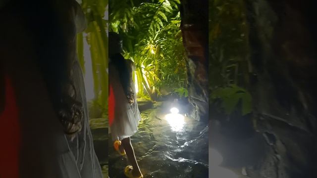 Дино Парк между Ката и Корон — Лучшее развлечение с детьми на Пхукете |.