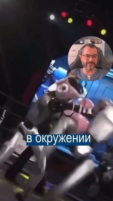 Роботы Подрались Друг с Другом на Ринге