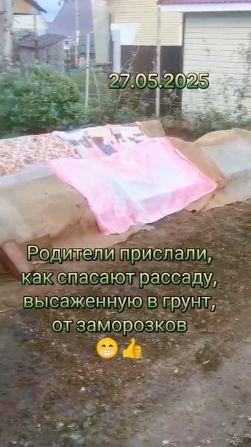 Такой вот май🤷