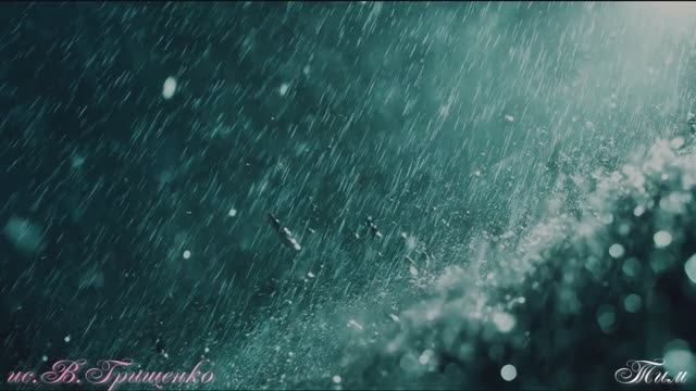 Виталий Грищенко - Сумасшедший дождь (cover)