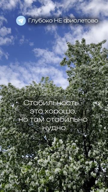 ✅ ТГ: Глубоко НЕ фиолетово #стабильность #психология #мотивация #осознанность #мотивация