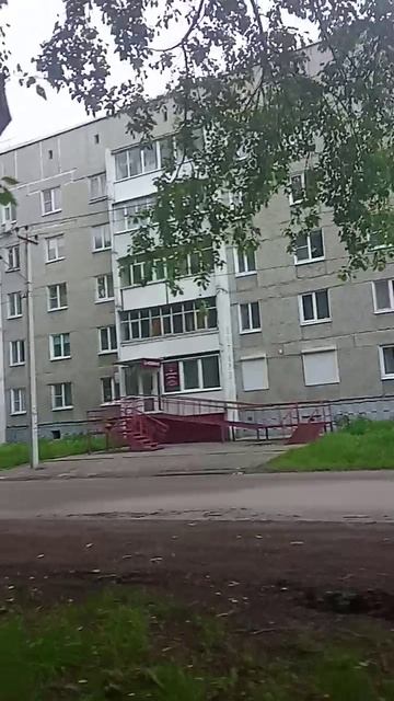 Жизнь