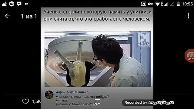 Мемы про мемы!!! Интересный кадр лев впервий раз видет собаку:):):) !!! Мемы в вк