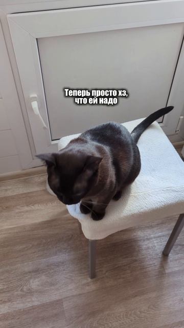 А как проходят ваши обычные добрые воскресные утра?😂

Больше семейных будней у нас на странице.