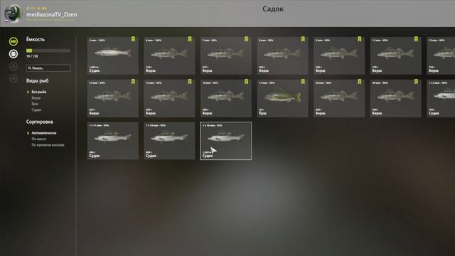 Русская Рыбалка 4 Сура Берш 27.05.25