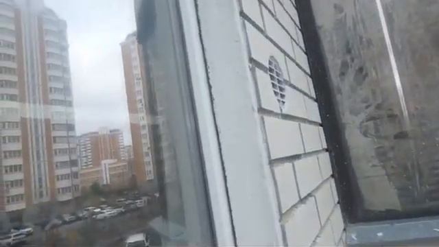 Баллу 100