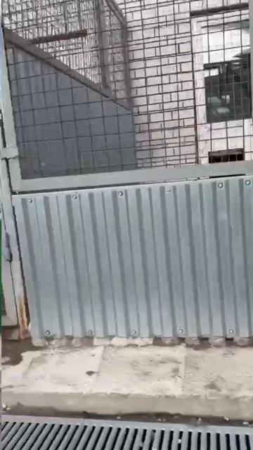 в гостях💜 Мун приют в Воронеже