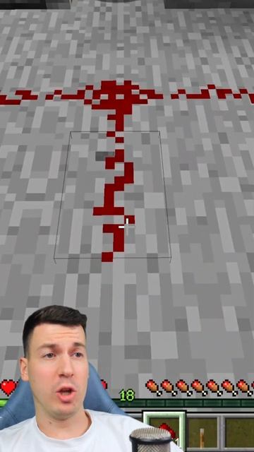 😱 Это Самый  БЕЗУМНЫЙ  БАГ! #minecraft #майнкрафт (1)