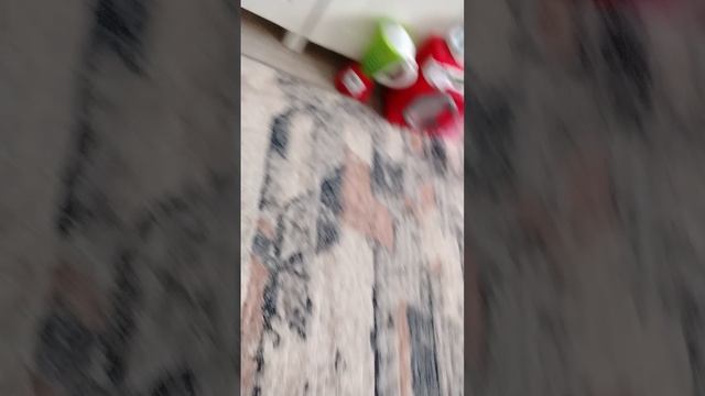Смешной попугай Кеша