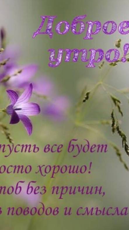 Доброе утро!Счастливого всем дня!🌹☕✨