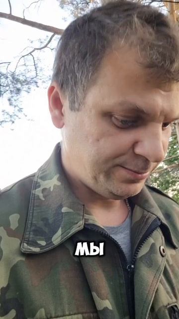 Как вырастить много голубики бесплатно