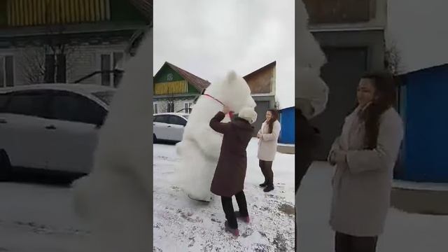 неожиданное появление Умки 🐻❄️ с нами жарко даже в