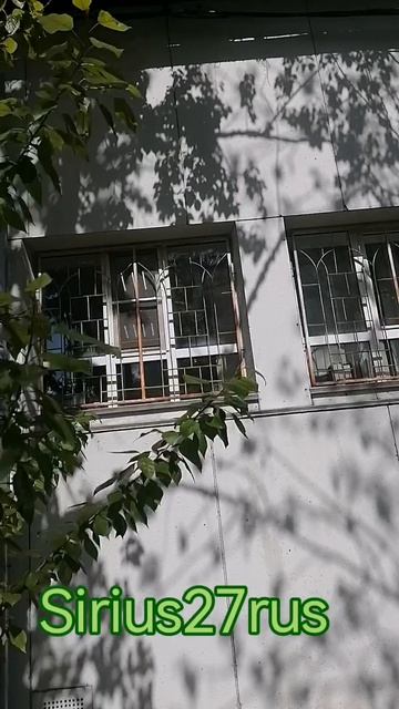 Мыли окна с решотками на высоте