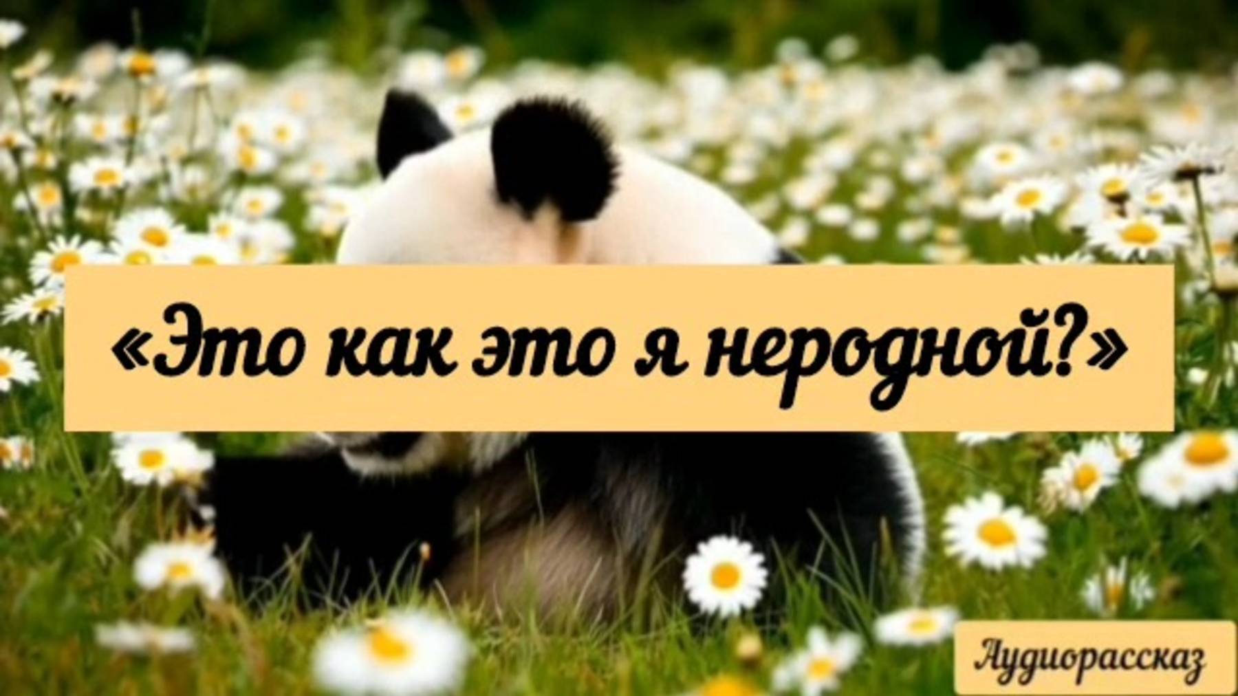 «Это как это я неродной?» Аудиорассказ.