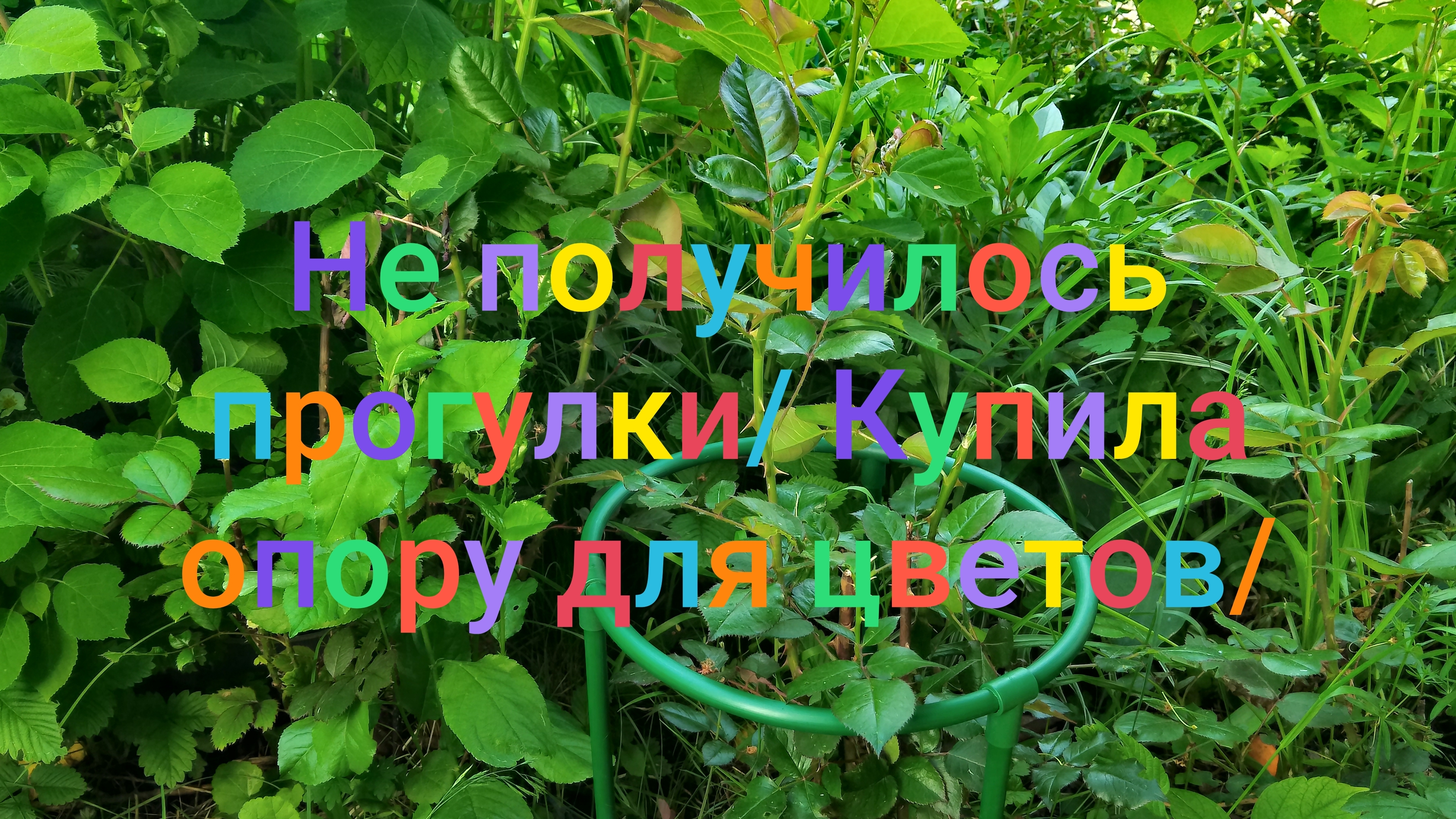 Не получилось прогулки/ Купила опору для цветов/ Сегодня магнитная буря/