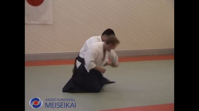 32 Aikido Suwariwaza Shomen Uchi Nikyo Shishiya Sensei Sandviken 2002