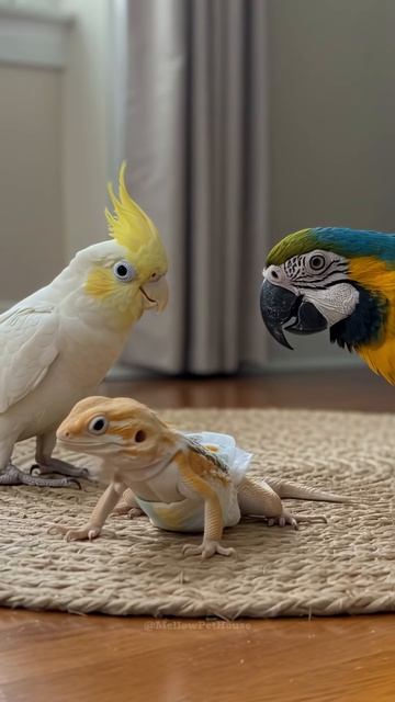 So... Who's the New Kid in Diapers？