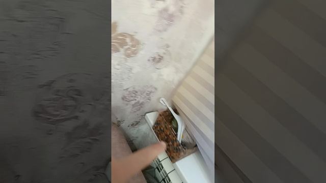 а рум-тур с моей комнаты прошёл год?