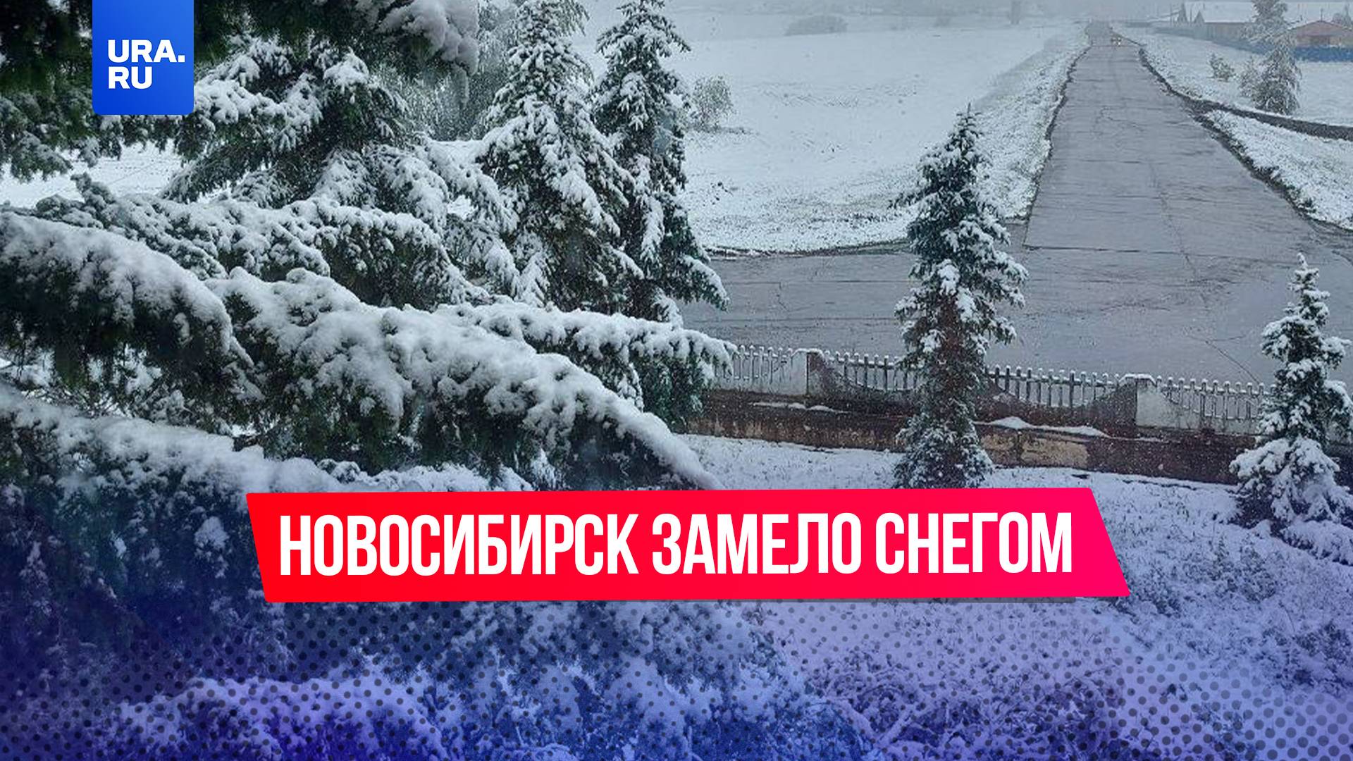 Новосибирск замело снегом