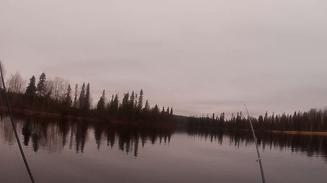 1000007180.mp4