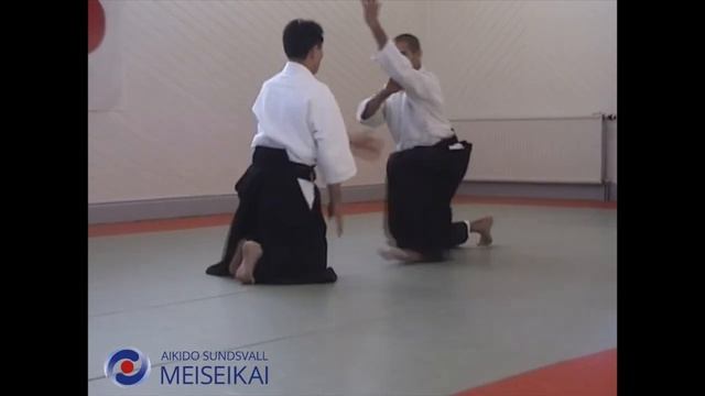 36 Aikido Suwariwaza Shomen Uchi Yonkyo Shishiya Sensei Sandviken 2002