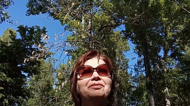 Сновидения. Как получить пользу от своих сновидений? Как мы видим сны?