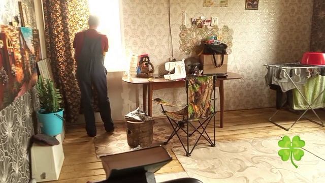 Сорока прилетела в дом .🏡🏡🏡
