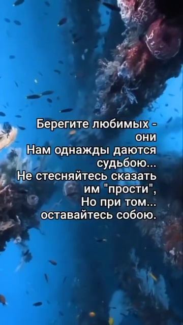 Берегите себя... для
себя.
Берегите - замены не
будет!