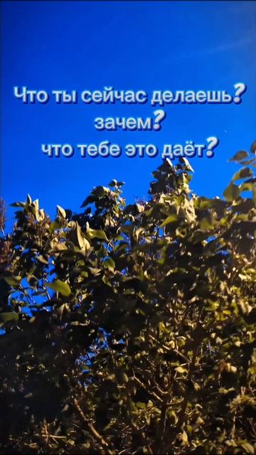 Осознанность N1