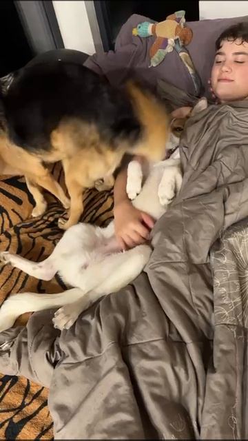 VID-20250527-WA0039.mp4