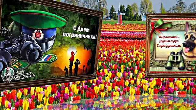 С Днём Пограничника 1! Праздничное Поздравление от Киностудии Мудрого Кота Тимофея!!!