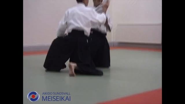 33 Aikido Suwariwaza Shomen Uchi Iriminage Shishiya Sensei Sandviken 2002